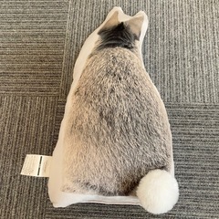 ニトリ ★ モチモチクッション キキ　人気の画像