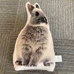 ニトリ ★ モチモチクッション キキ　人気の画像