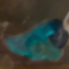 レジンアクセサリーの画像