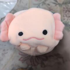 ウーパールーパー　ぬいぐるみ【受付終了】
