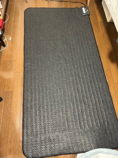 【電源が入らない】ホットカーペット