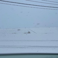 2/8〜2/10除雪お手伝い出来ます！