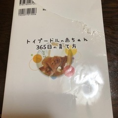 トイプードルの赤ちゃんの育て方の画像