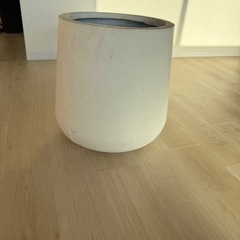 観葉植物用のオシャレ鉢
の画像
