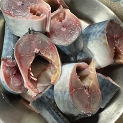 鮮魚の画像