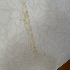 アイカ セラール3枚の画像