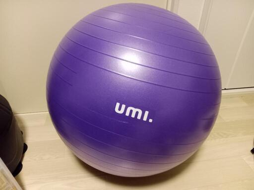 バランスボール 直径約60cm