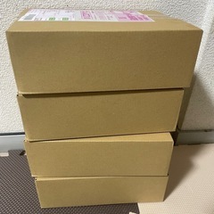 ポケモンカード　バトルパートナーズ4ボックス 