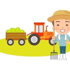 賃金と野菜をもらいながら農作業のお手伝いしませんか？🍅