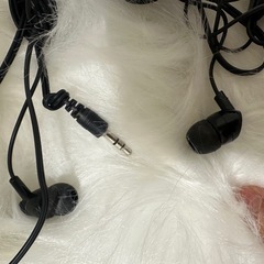 イヤホンの画像