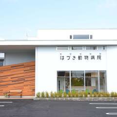 動物病院での看護助手・受付