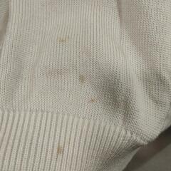 男子制服　セーター　カーディガン　専大附属　専修大学附属高校　制服の画像