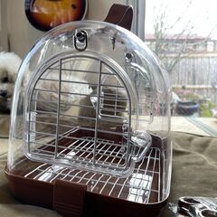 【美品】旅行、通院などで活躍！透明で見やすい小鳥・小動物用キャリーバッグの画像
