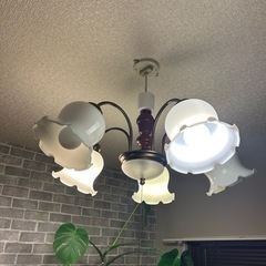 ペンダントライト　の画像