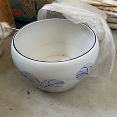 睡蓮鉢の画像