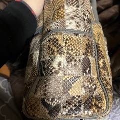 パイソン本物 特別加工品の画像