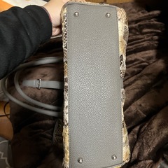 パイソン本物 特別加工品の画像