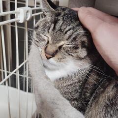 里親様決まりました！
