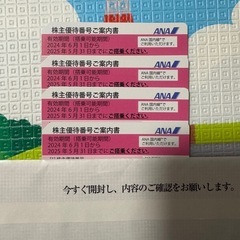 ⭐️週末限定価格です⭐️　ANA 全日空　株主優待