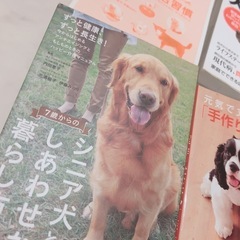 2/9まで　犬の本の画像
