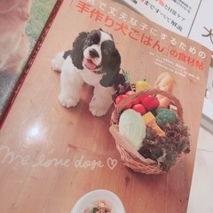 2/9まで　犬の本の画像