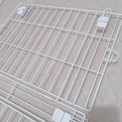 2/9まで　犬小屋の屋根の画像
