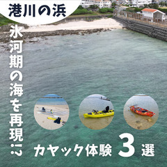 氷河期の海・疑似体験！