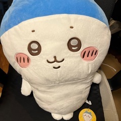 スポーツ刈りハチワレ
