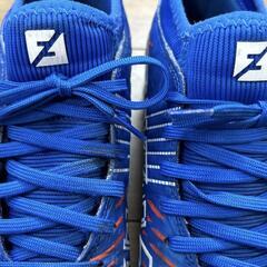 PUMAのトレーニングシューズ　25センチ ブルーの画像