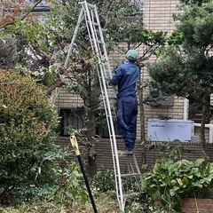 庭園管理 外構工事が主 当社で手に職を （株）STカンパニー  所沢市の画像