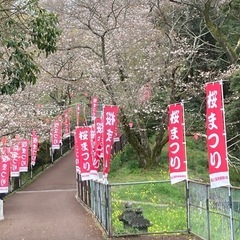 風頭公園桜祭りのキッチンカー・フリーマーケット出店募集 - 地域/お祭り