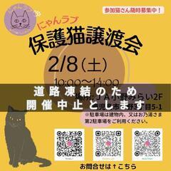 にゃんラブ譲渡会2/8