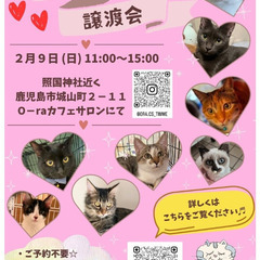 カワイイ、しーちゃん
