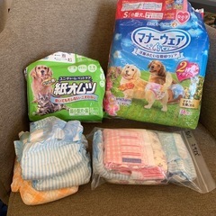 ペット用紙オムツ　マナーウェア