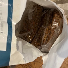 猫　フード　キャットフード　ご飯の画像