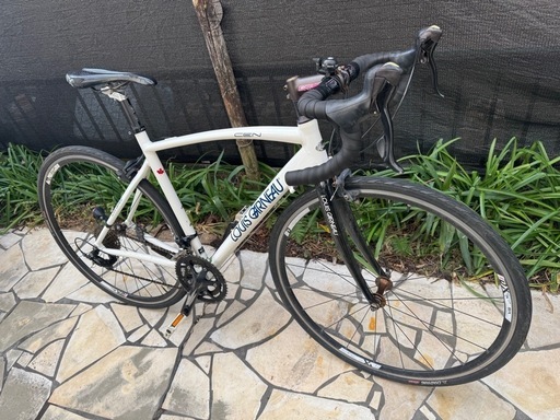 (格安)ルイガノ　ロードバイク LOUIS GARNEAU