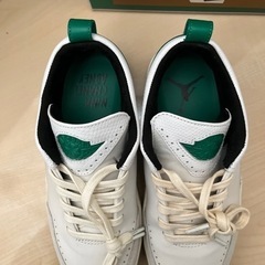 スニーカー
　WMNS AIR JORDAN 2 RETRO LOW SE 23㌢ の画像