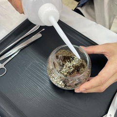 ✨残り4名✨苔テラリウム制作【【癒しの苔テラリウムを手作りしよう🌿】】 − 北海道
