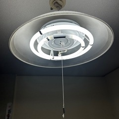 あげます　電灯
