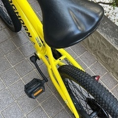 子供用　自転車　20インチ Kids Bikeの画像