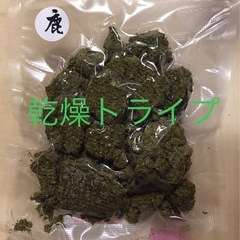 犬猫おやつ　グリーントライプの画像
