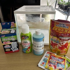 金魚や小魚用水槽と飼育セット