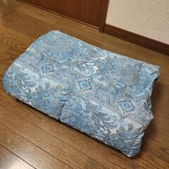 モリリン 羽毛布団 肌掛け 春夏用 薄手