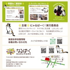 地域ねこまつり！譲渡会＆猫マルシェ、イベントたくさん - 名古屋市