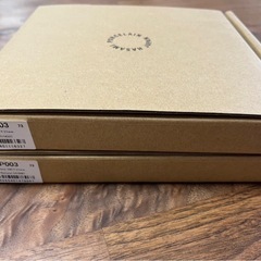 HASAMI PORCELAIN の18.5cm プレートの2枚セットの画像