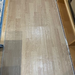 木目調ホットカーペット　１畳