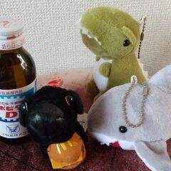 一緒におでかけミニぬいぐるみ３匹セット✨