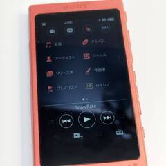SONY ウォークマン Aシリーズ/NW-A45/16GB