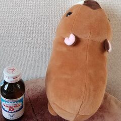 ～7/15までのお取引限定【美品✨】水族館のぬいぐるみ カピバラさんの画像