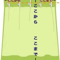 北欧カーテン　リネン　岡理恵子さん　柄カーテン①の画像